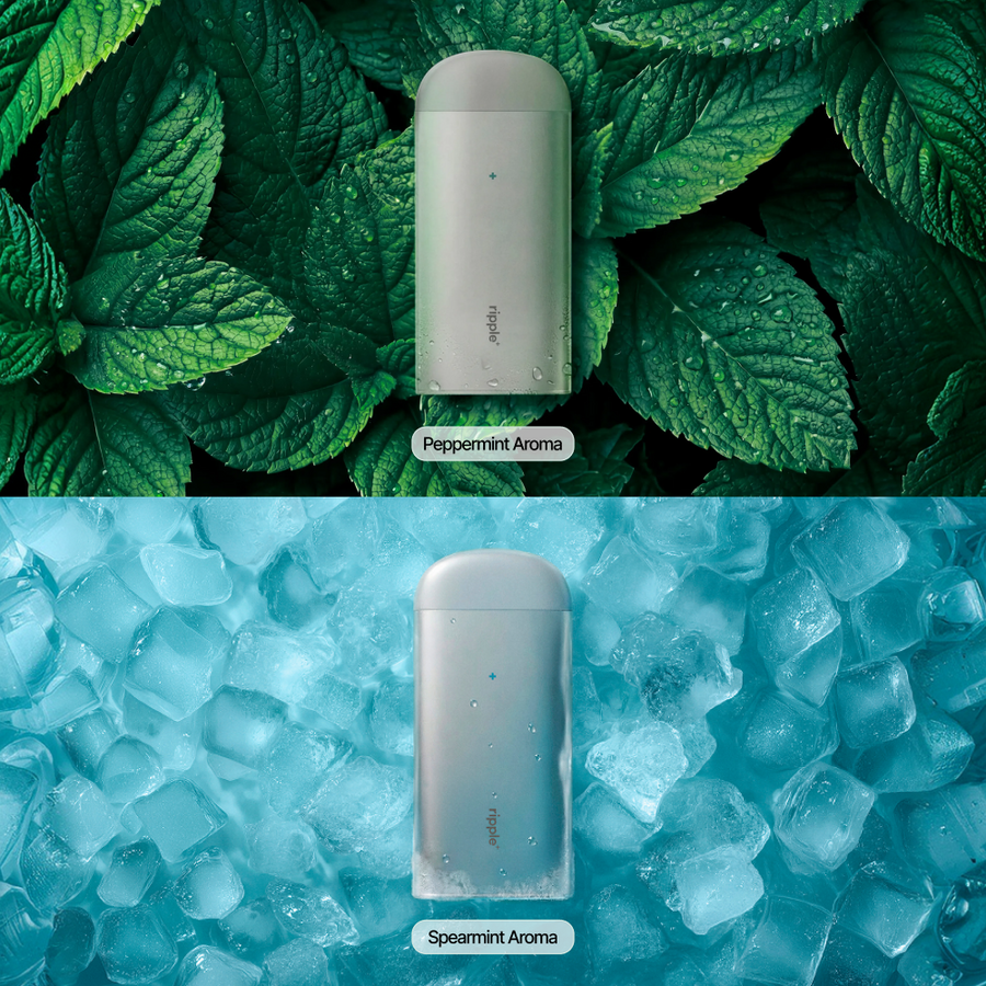 THE MINTY SET
